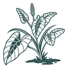  Charming Hounds Tongue Houseplant Illustration