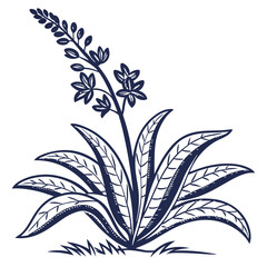  Elegant Hounds Tongue Plant Artwork