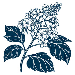  Elegant Hydrangea Quercifolia Plant Design