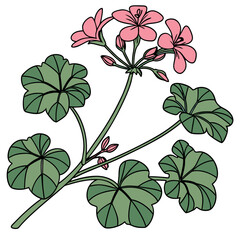  Ivy Geranium Houseplant Bold Outline Art