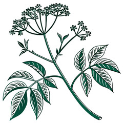  Vibrant Japanese Knotweed Illustration for Home