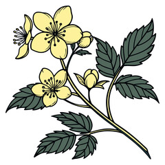  Charming Kerria Houseplant Art for Decor