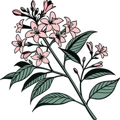  Distinctive Kolkwitzia Design for Modern Spaces