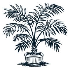  Stylish Lady Palm Houseplant Outline Art