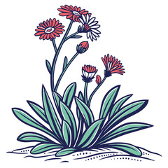  Lampranthus Houseplant Bold Outline Design