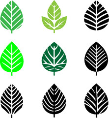 Fototapeta premium set of leaves