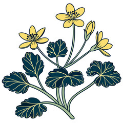  Elegant Lesser Celandine Houseplant Vector Art