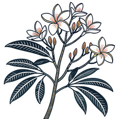  Lotus Tree Houseplant Bold Outline Art