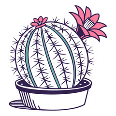  Elegant Mammillaria Cactus Art for Home