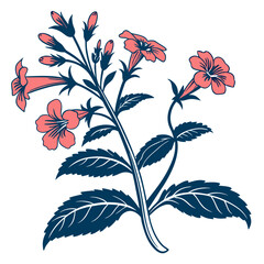  Elegant Mimulus Plant Illustration for Home