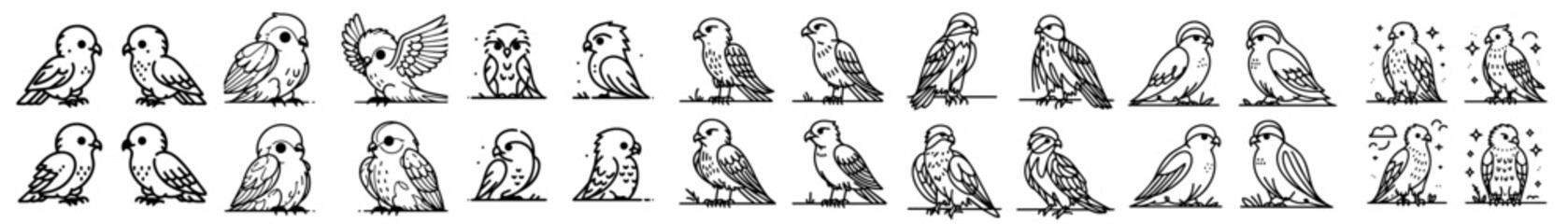 Collection of line vectors of various birds animals