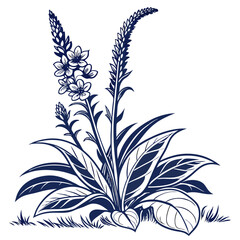  Mullein Houseplant Bold Outline Design