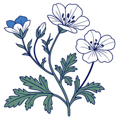  Elegant Nemophila Houseplant Vector Design