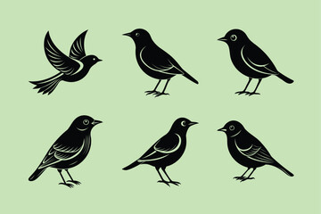 Japanese White-eye bird, silhouette vector illustration