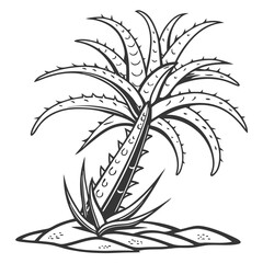  Charming Obregonia Houseplant Art