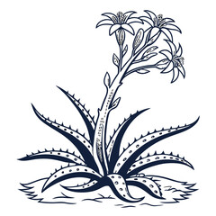  Stylish Obregonia Houseplant Illustration