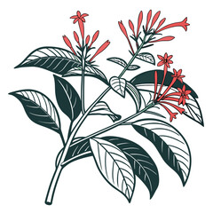  Odontonema Houseplant Bold Outline Art