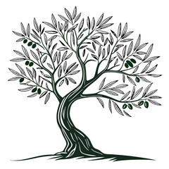  Stylish Olive Tree Plant Illustration