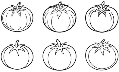 Hand-drawn Vector Tomato Illustrations  Fresh and Ripe Tomato Set