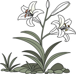 White Lillies with Green Leaves on Natural Ground Design