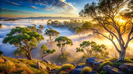 Fototapeta premium Golden Sunrise Illuminates Misty Valley with Lush Green Trees and Rocky Outcrops