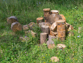 Sawn round logs of dry lime wood on the green grass on a summer day