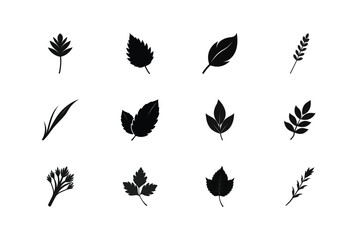 set of black silhouettes of leaves