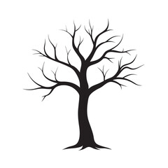 Silhouette of a lone bare tree