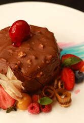 Elegant chocolate dessert covered with rich chocolate coating, decorated with fresh berries, mint leaves, and colorful artistic sauce strokes, beautifully plated on a white dish, ideal for fine dining