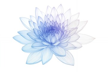 Elegant Blue Lotus Flower Line Art Botanical Illustration spa zen soft aqua yoga plant