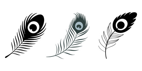 feather isolated on white, Set of decorative colorful peacock feather isolated on transparent background, stunningly detailed peacock feather with an iridescent "eye" pattern in shades of blue. © Parboti