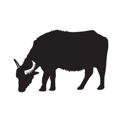 buffalos vector illustration
