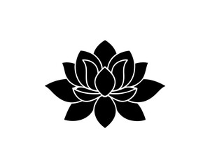 Obraz premium creative details magnolia icon Vector Illustration 