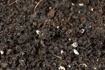 Texture of moist fertile soil universal for growing plants close-up.