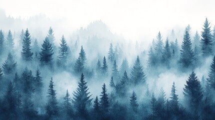 Fog above pine forests. Misty morning view in wet mountain area. Detail of dense pine forest in morning mist.