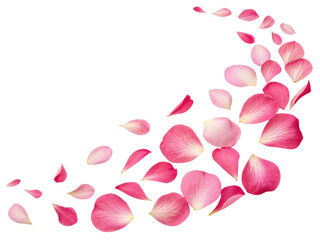 Fototapeta premium Beautiful pink petals gracefully scatter, creating delicate and serene atmosphere that captures essence of nature beauty