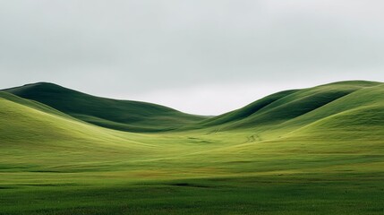 Obraz premium Serene green hills under a soft overcast sky, creating a tranquil atmosphere.