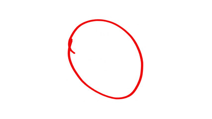 Line circle mark on transparent background. Bright red scribble ovals and bubbles to circle and highlight text. Highlight red circle icon.