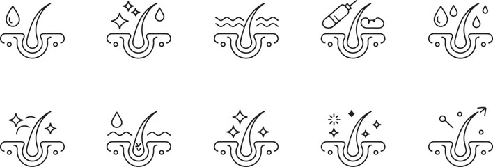 Hair Follicle Growth Stages Icons Set for Hair Care Products