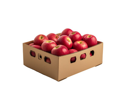 Fresh Red Apple in Cardboard Box