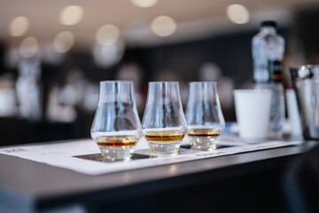 Discovering the rich flavors of whiskey in a cozy tasting room setting