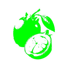 mangosteen icon