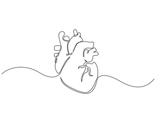 Continuous line drawing of human heart. Single line illustration of human heart organ. Human anatomy concept. Editable outline