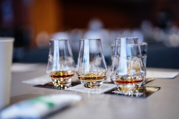 Whiskey tasting experience showcasing elegance and rich flavors