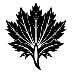 flowers Chicory silhouette vector illustrator 