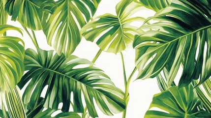 Tropical leaves pattern background, nature design, artistic illustration, wallpaper, print