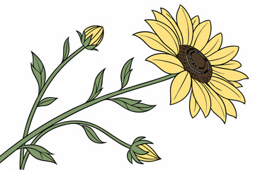 vector illustration of a flower
