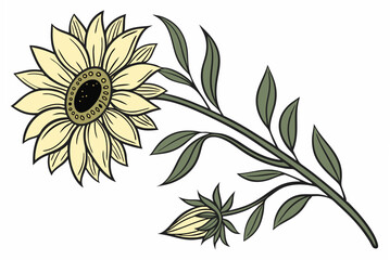 vector illustration of a flower