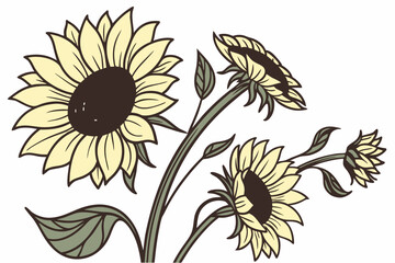 vector illustration of a sunflower