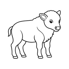 Baby Bison Outline with White Background